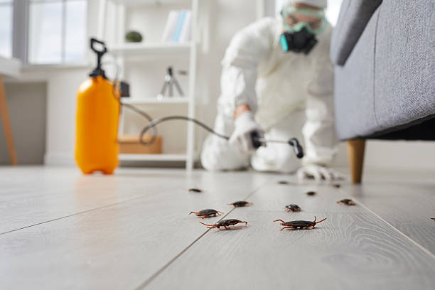 Commercial Kitchen Cockroach Control in Glenview